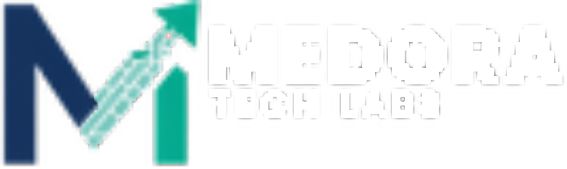 Medora Tech Labs
